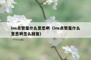 ins点赞是什么意思啊（ins点赞是什么意思啊怎么回复）