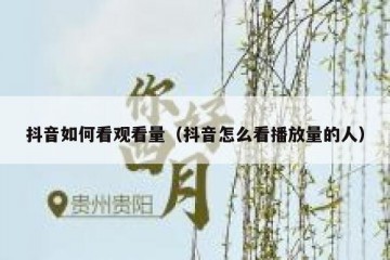 抖音如何看观看量（抖音怎么看播放量的人）