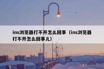 ins浏览器打不开怎么回事（ins浏览器打不开怎么回事儿）