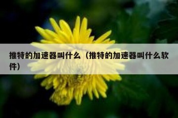 推特的加速器叫什么（推特的加速器叫什么软件）