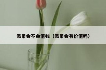 派币会不会值钱（派币会有价值吗）