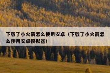 下载了小火箭怎么使用安卓（下载了小火箭怎么使用安卓模拟器）