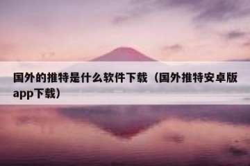 国外的推特是什么软件下载（国外推特安卓版app下载）