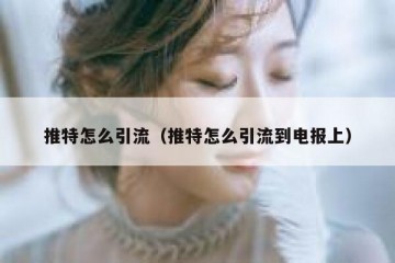 推特怎么引流（推特怎么引流到电报上）