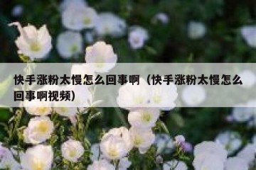 快手涨粉太慢怎么回事啊（快手涨粉太慢怎么回事啊视频）