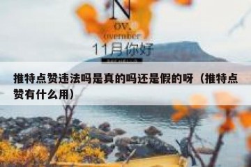 推特点赞违法吗是真的吗还是假的呀（推特点赞有什么用）
