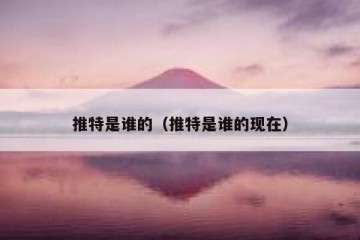 推特是谁的（推特是谁的现在）