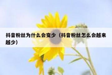 抖音粉丝为什么会变少（抖音粉丝怎么会越来越少）