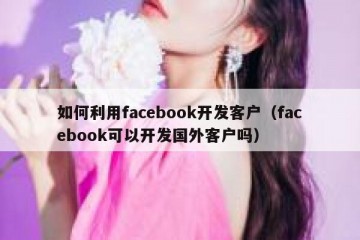 如何利用facebook开发客户（facebook可以开发国外客户吗）