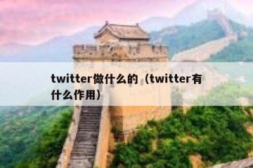 twitter做什么的（twitter有什么作用）