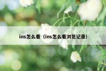 ins怎么看（ins怎么看浏览记录）