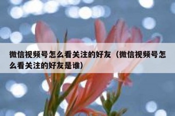 微信视频号怎么看关注的好友（微信视频号怎么看关注的好友是谁）