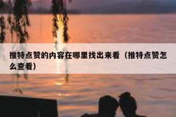 推特点赞的内容在哪里找出来看（推特点赞怎么查看）