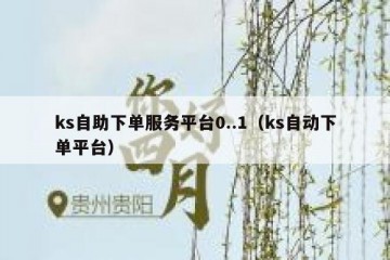 ks自助下单服务平台0..1（ks自动下单平台）