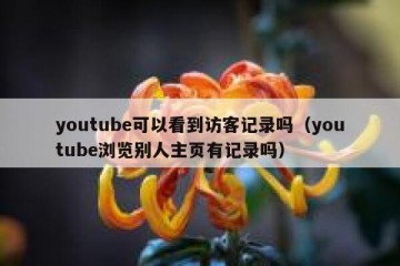 youtube可以看到访客记录吗（youtube浏览别人主页有记录吗）