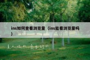 ins如何查看浏览量（ins能看浏览量吗）