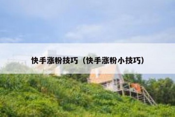 快手涨粉技巧（快手涨粉小技巧）