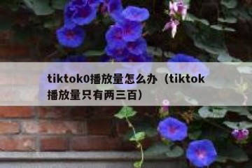 tiktok0播放量怎么办（tiktok播放量只有两三百）