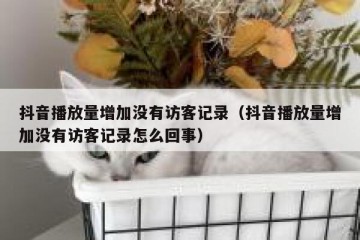 抖音播放量增加没有访客记录（抖音播放量增加没有访客记录怎么回事）