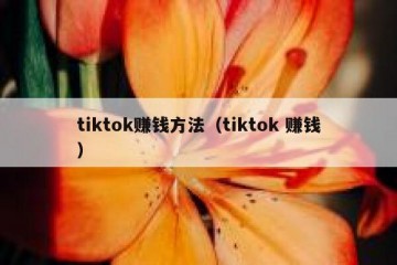 tiktok赚钱方法（tiktok 赚钱）