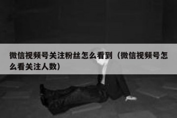 微信视频号关注粉丝怎么看到（微信视频号怎么看关注人数）