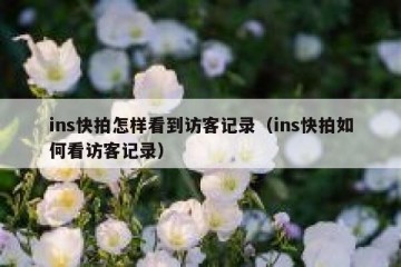 ins快拍怎样看到访客记录（ins快拍如何看访客记录）