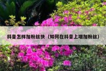 抖音怎样加粉丝快（如何在抖音上增加粉丝）