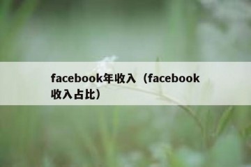 facebook年收入（facebook收入占比）