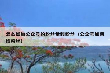 怎么增加公众号的粉丝量和粉丝（公众号如何增粉丝）