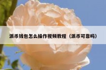 派币钱包怎么操作视频教程（派币可靠吗）
