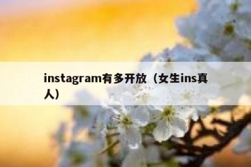 instagram有多开放（女生ins真人）