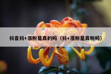 抖音抖+涨粉是真的吗（抖+涨粉是真粉吗）