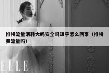 推特流量消耗大吗安全吗知乎怎么回事（推特费流量吗）