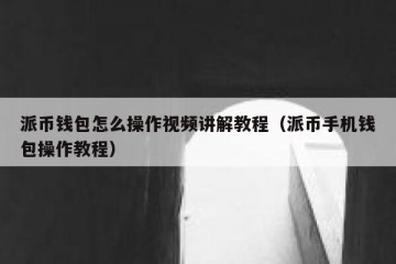 派币钱包怎么操作视频讲解教程（派币手机钱包操作教程）