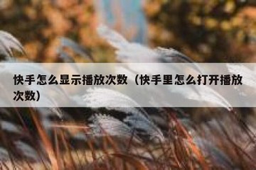 快手怎么显示播放次数（快手里怎么打开播放次数）