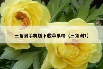 三角洲手机版下载苹果端（三角洲1）