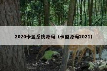 2020卡盟系统源码（卡盟源码2021）