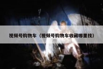 视频号购物车（视频号购物车收藏哪里找）