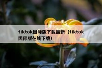 tiktok国际版下载最新（tiktok国际版在线下载）