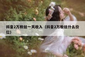 抖音2万粉丝一天收入（抖音2万粉丝什么价位）