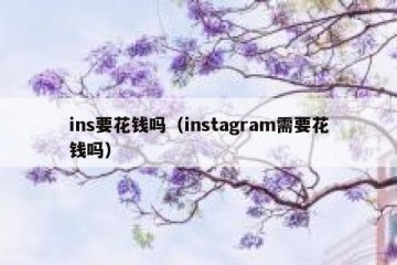 ins要花钱吗（instagram需要花钱吗）