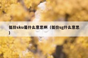 低价sku是什么意思啊（低价sg什么意思）