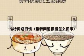 推特网速很慢（推特网速很慢怎么回事）