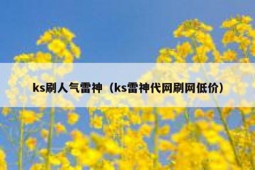 ks刷人气雷神（ks雷神代网刷网低价）
