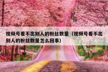 视频号看不出别人的粉丝数量（视频号看不出别人的粉丝数量怎么回事）