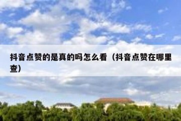 抖音点赞的是真的吗怎么看（抖音点赞在哪里查）