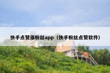 快手点赞涨粉丝app（快手粉丝点赞软件）