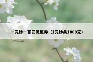 一元秒一百元优惠券（1元秒杀1000元）