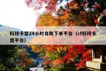 科技卡盟24小时自助下单平台（cf科技卡盟平台）