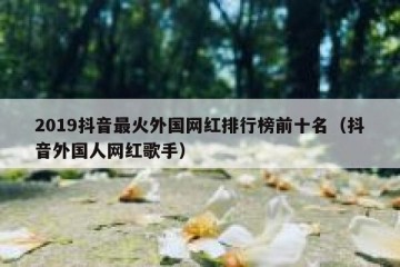 2019抖音最火外国网红排行榜前十名（抖音外国人网红歌手）